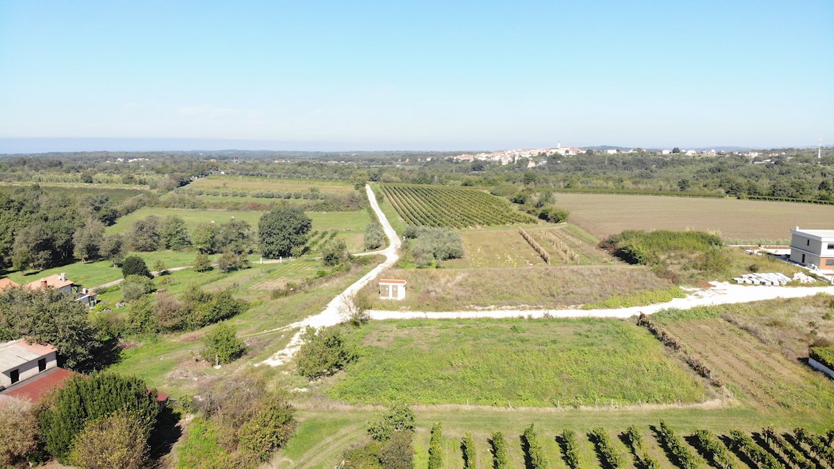 Nepremičnine Istra, prodajam stavbno zemljišče, okolica Novigrada