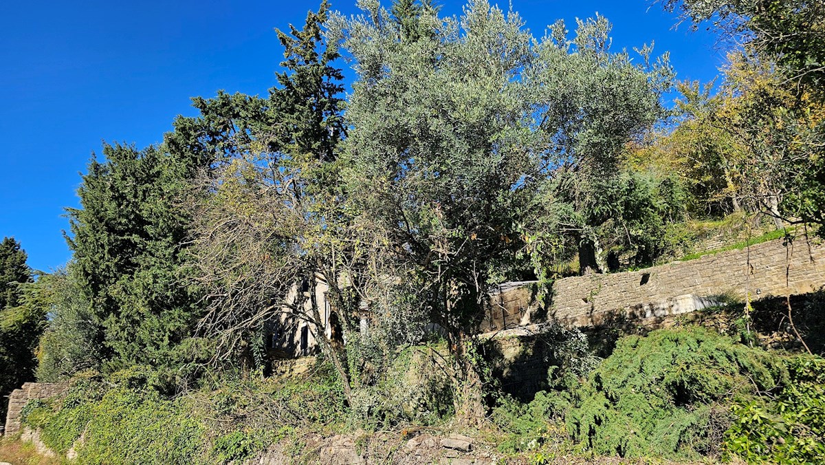 Ekskluzivna Kamnita Hiša pri Grožnjanu