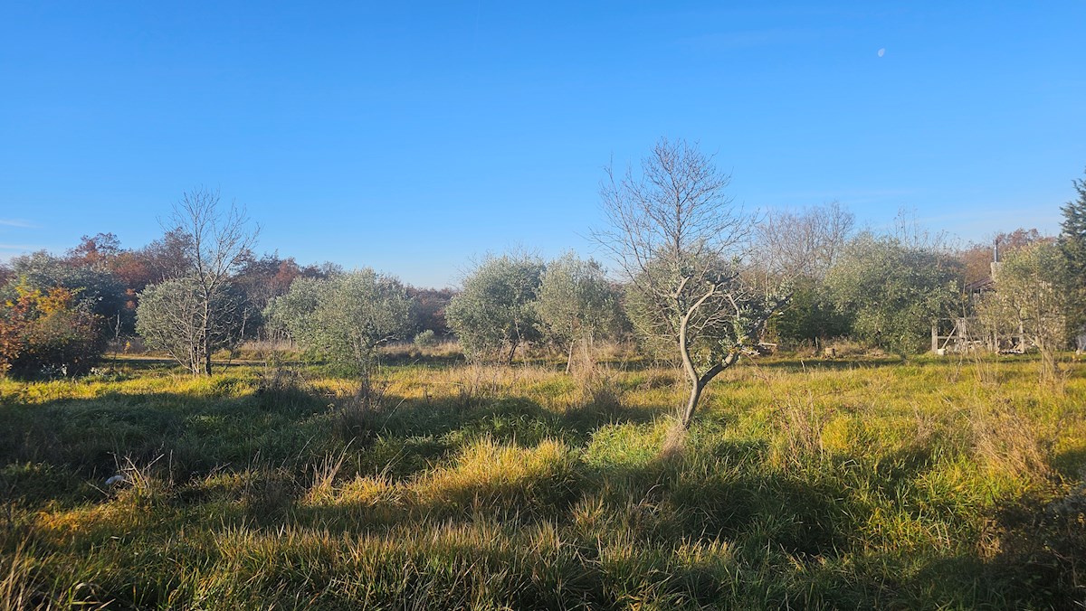 Moderen projekt na mirni lokaciji pri Bujah – zazidljivo zemljišče z idejnim projektom