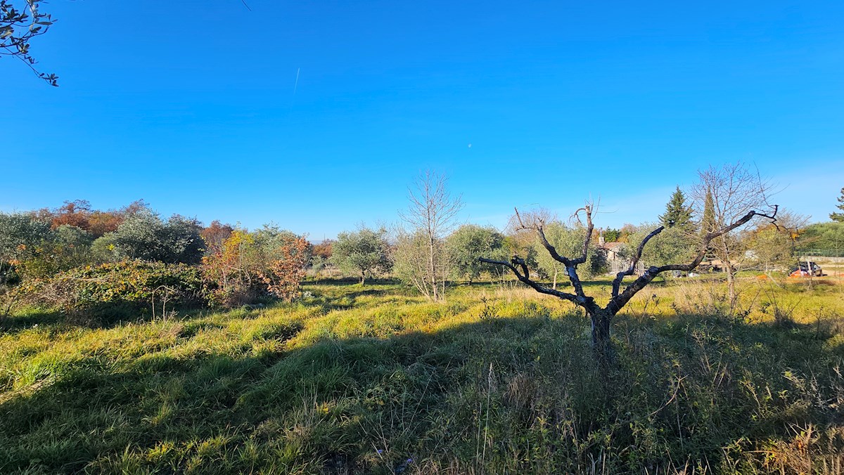 Moderen projekt na mirni lokaciji pri Bujah – zazidljivo zemljišče z idejnim projektom