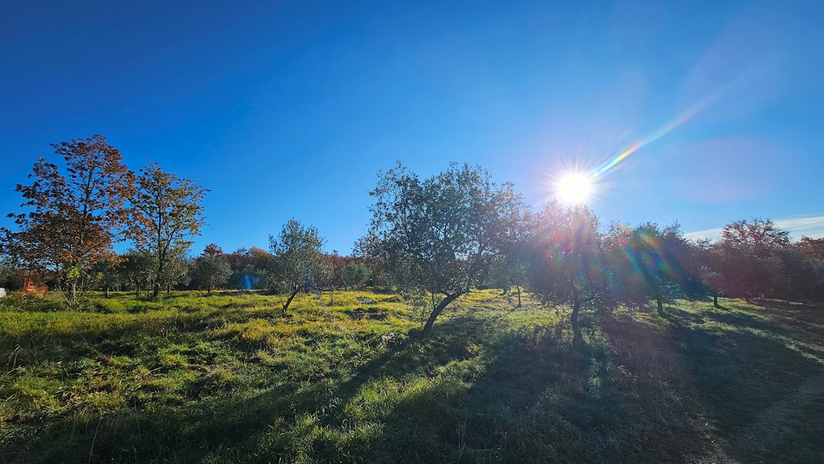 Moderen projekt na mirni lokaciji pri Bujah – zazidljivo zemljišče z idejnim projektom