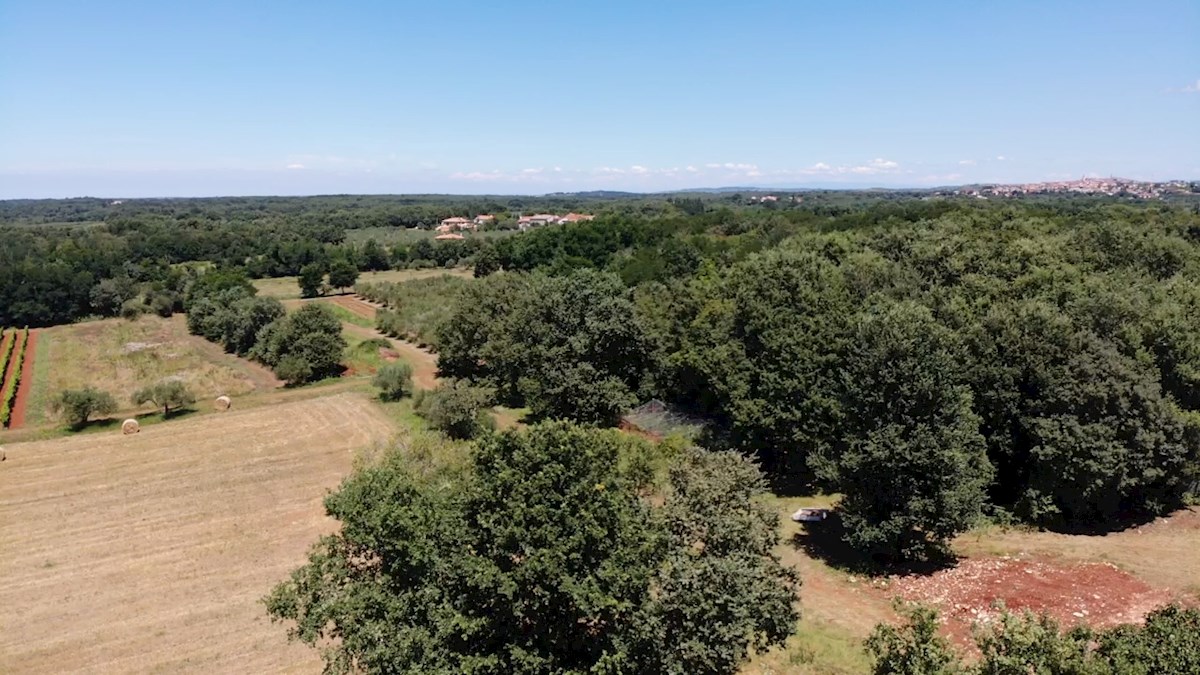 Nepremičnine Istra, prodajam stavbno zemljišče, okolica Novigrada