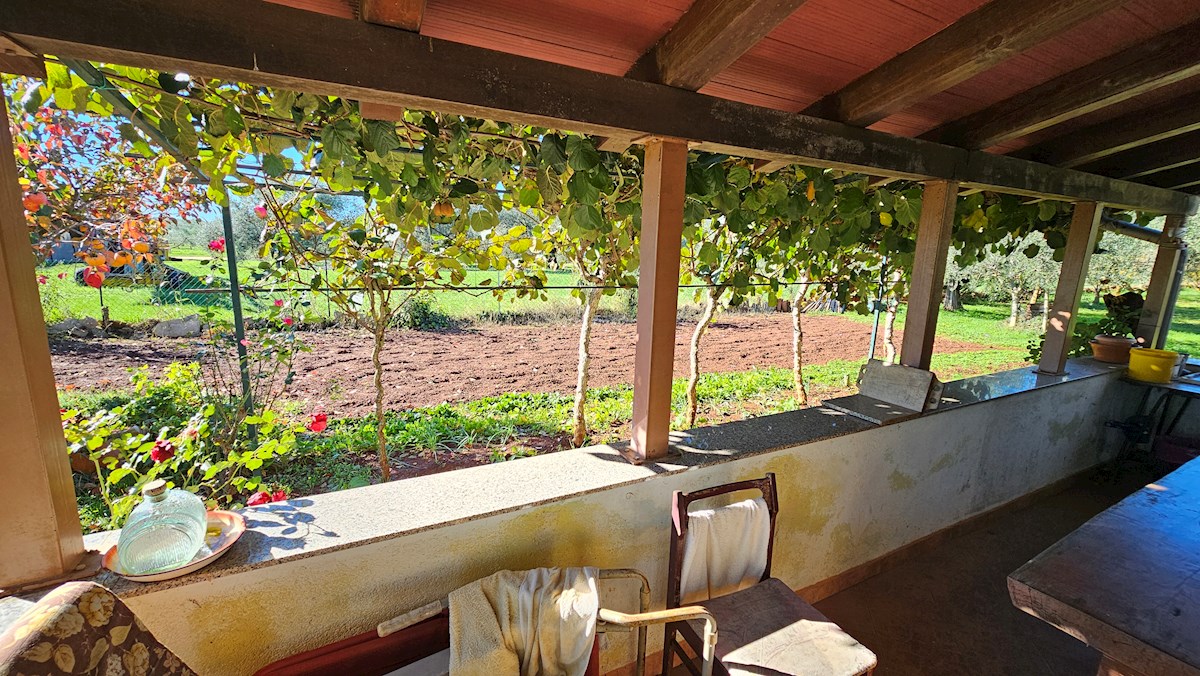 Prodam kmetijsko zemljišče z legaliziranim objektom – blizu Novigrada, Istra