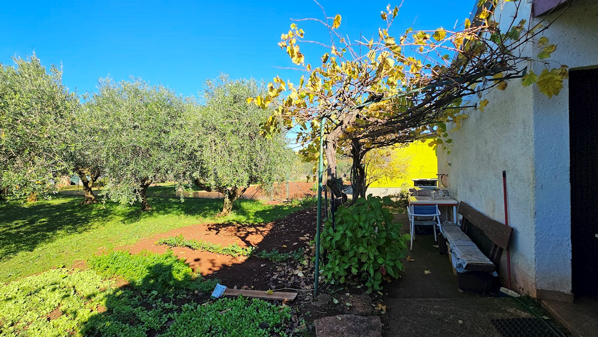 Prodam kmetijsko zemljišče z legaliziranim objektom – blizu Novigrada, Istra
