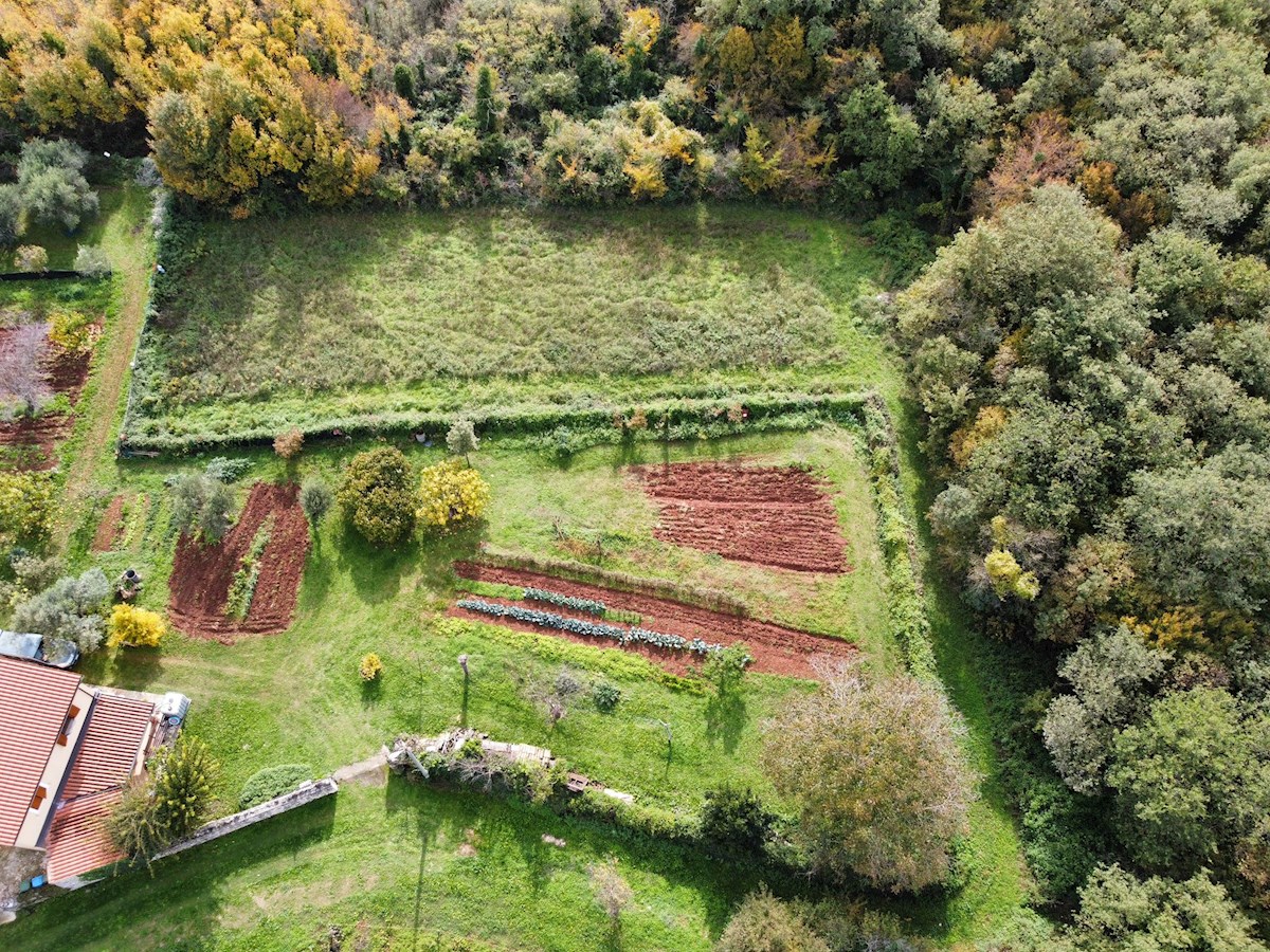 Nepremičnine Istra, prodajam stavbno zemljišče, Novigrad, okolica
