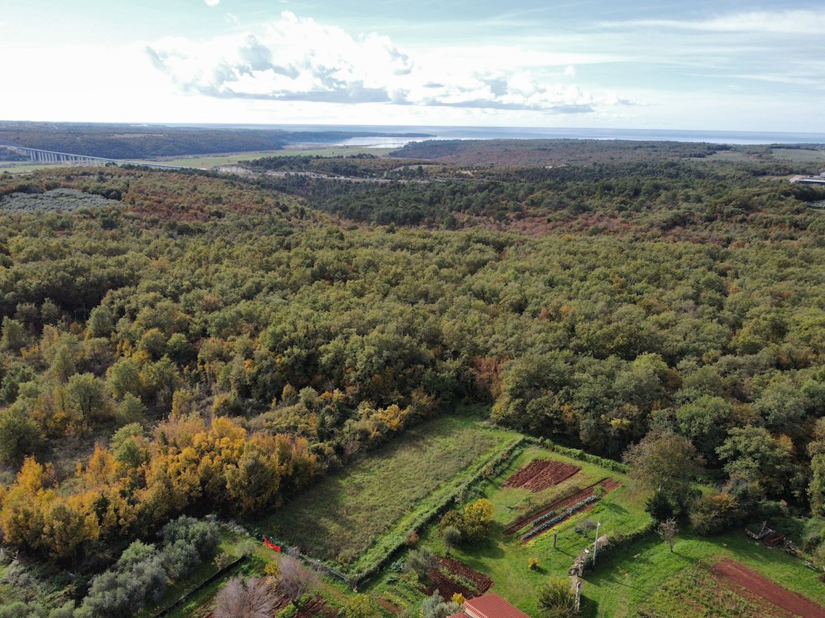 Nepremičnine Istra, prodajam stavbno zemljišče, Novigrad, okolica