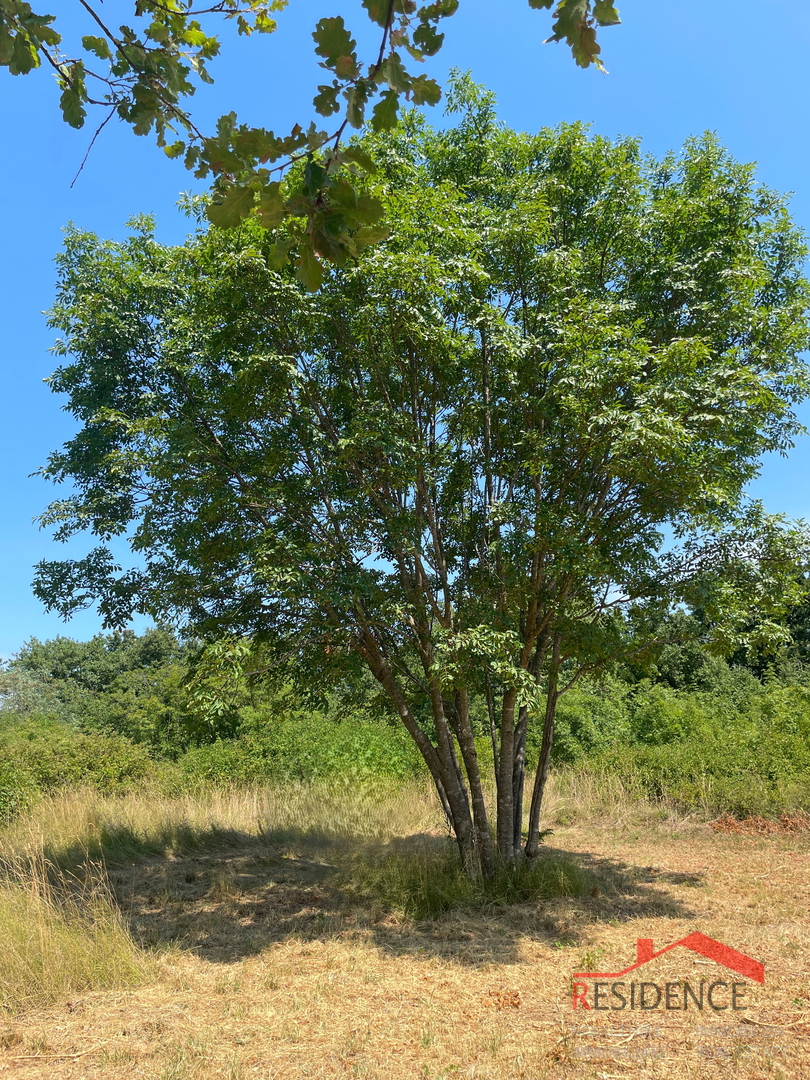 Krnica, Kmetijsko zemljišče