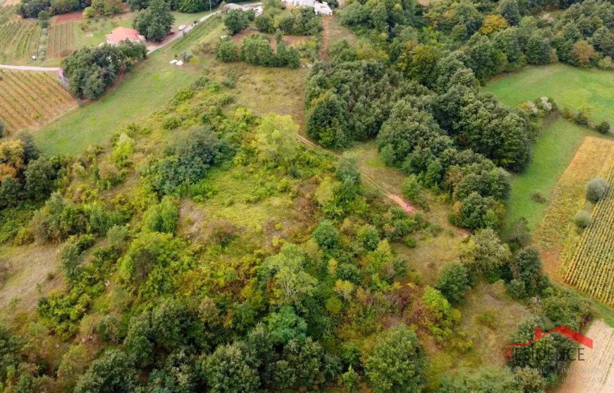 Gračišče, stara istrska porušena hiša z velikim dvoriščem