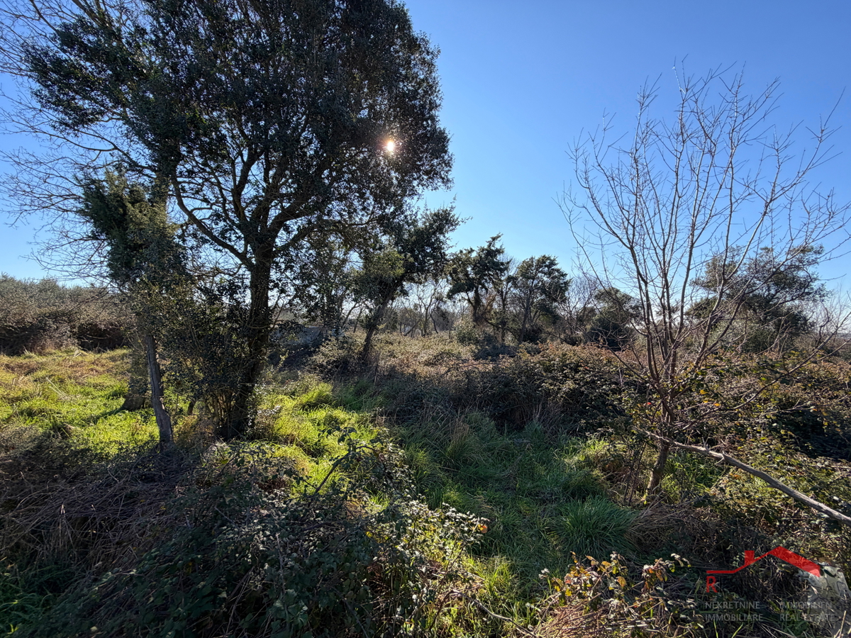 Pula, Monte Turco, zemljišče z gospodarskim poslopjem