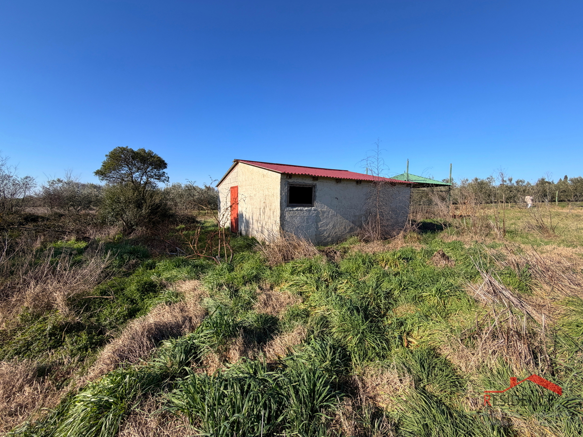 Pula, Monte Turco, zemljišče z gospodarskim poslopjem