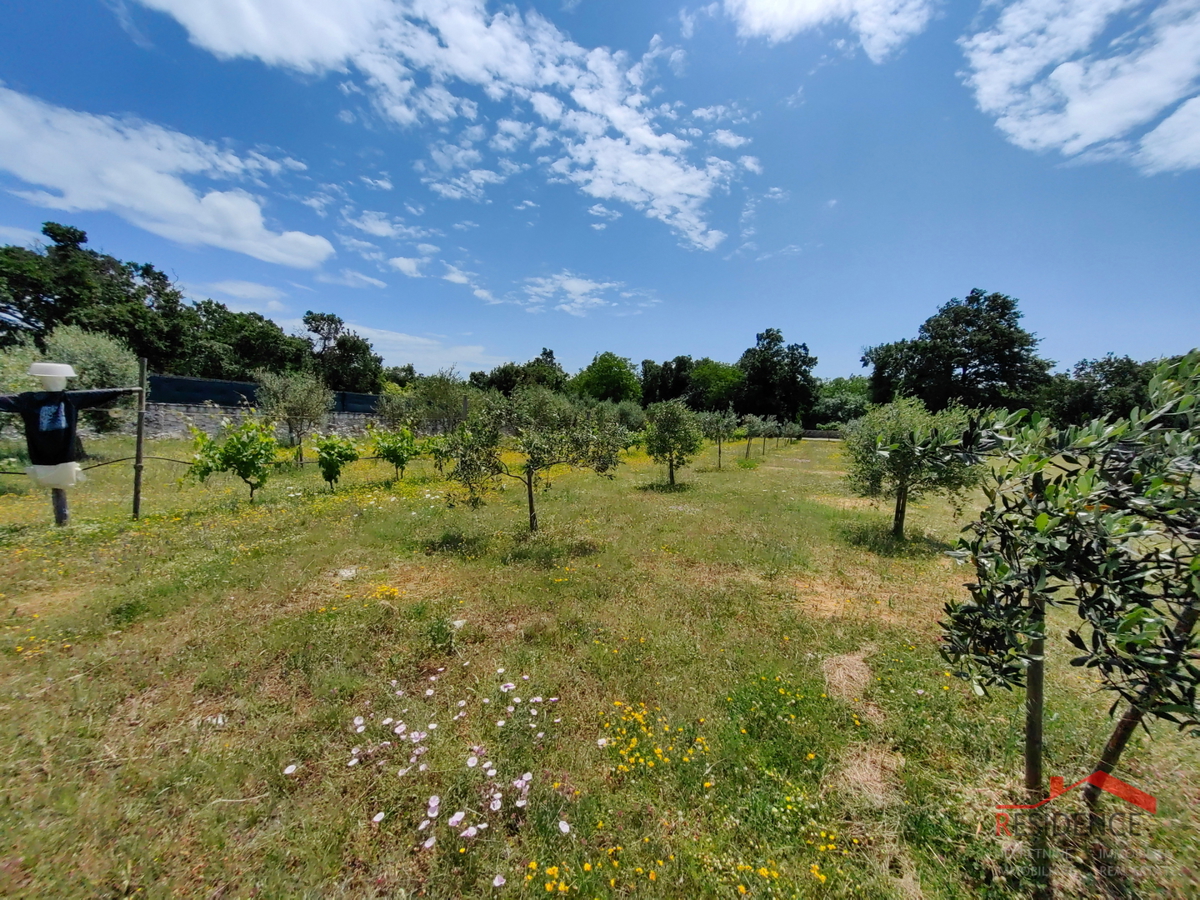 Vila z velikim posestvom, primerna za zdravstveni in wellness turizem - območje Svetvinčenta