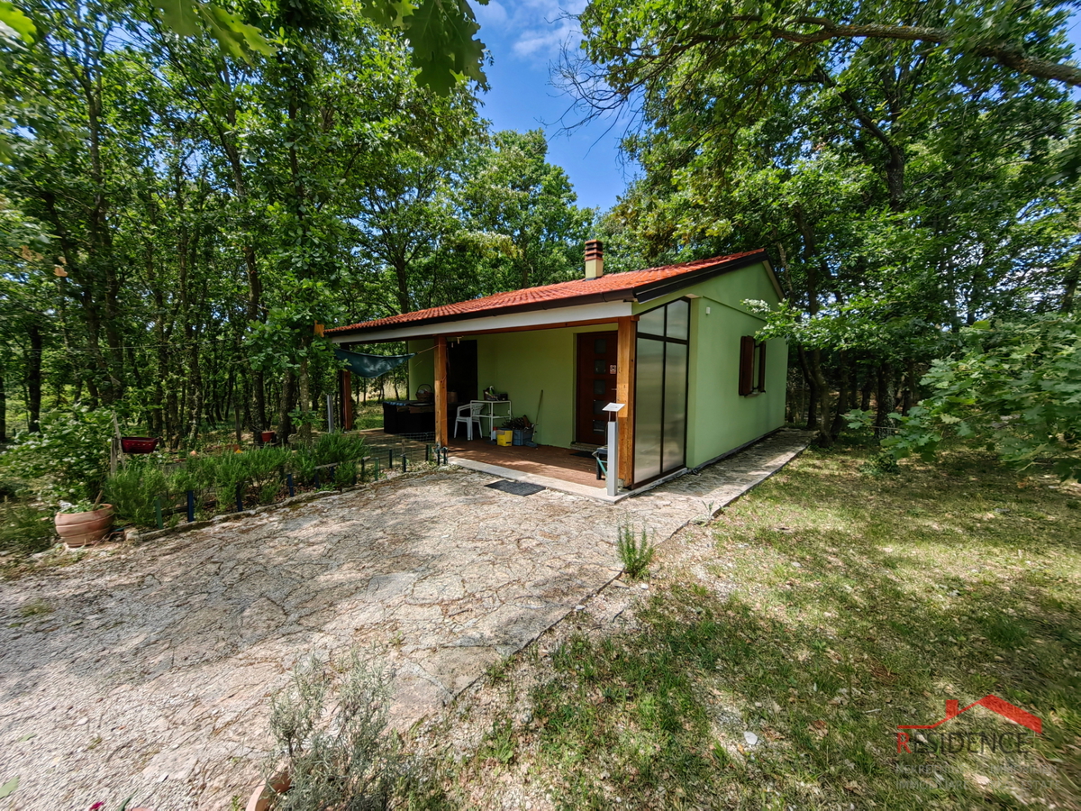 Vila z velikim posestvom, primerna za zdravstveni in wellness turizem - območje Svetvinčenta