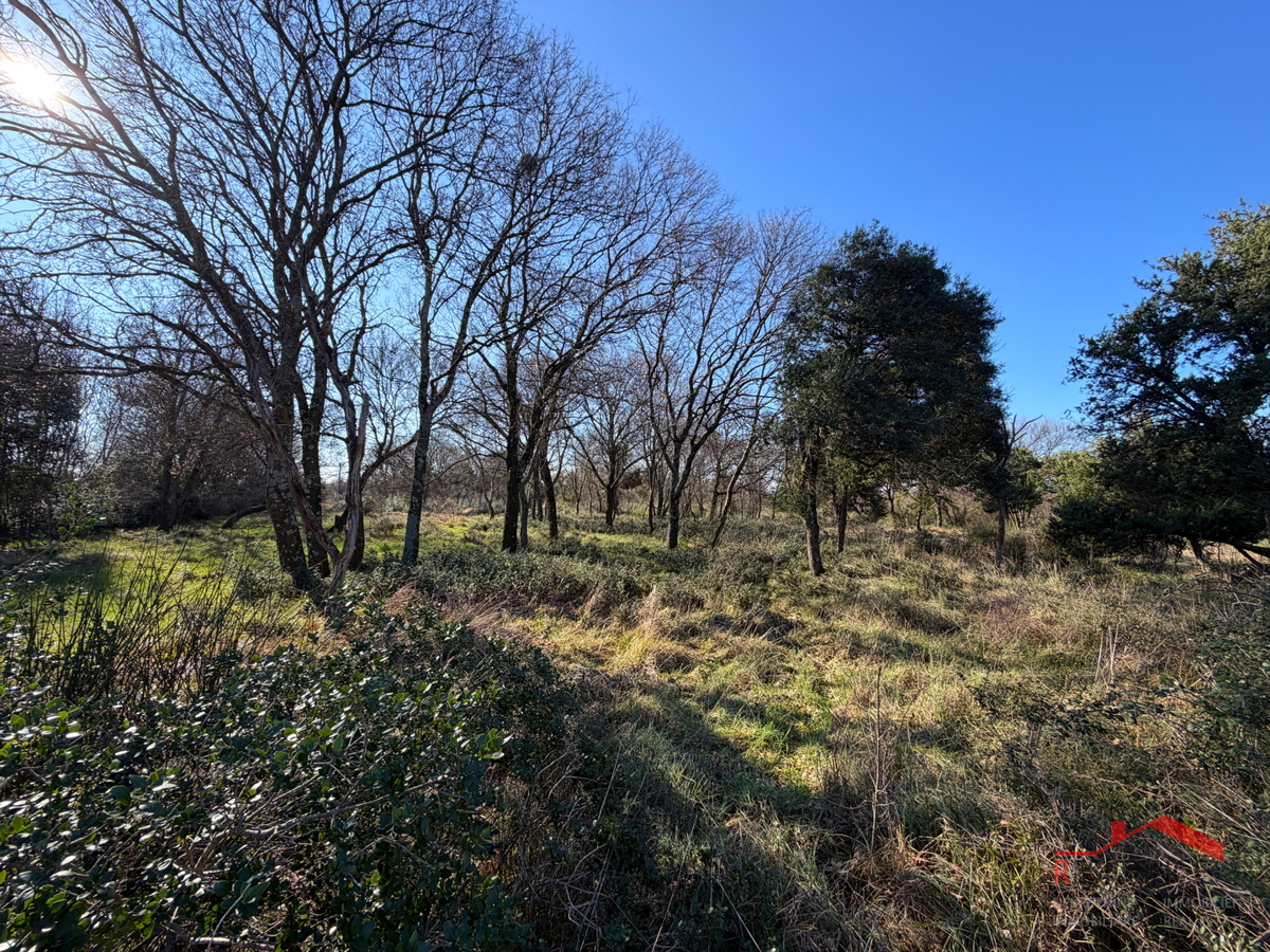 Pula, Monte Turco, zemljišče, elektrika, vodnjak