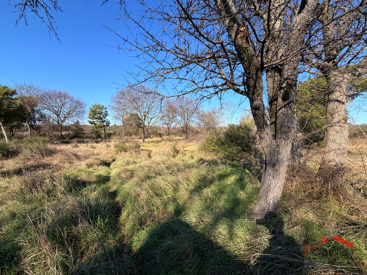 Pula, Monte Turco, zemljišče, elektrika, vodnjak