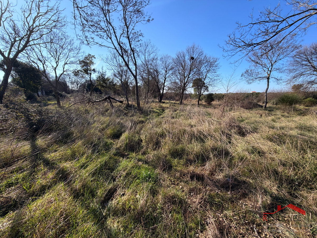 Pula, Monte Turco, zemljišče, elektrika, vodnjak