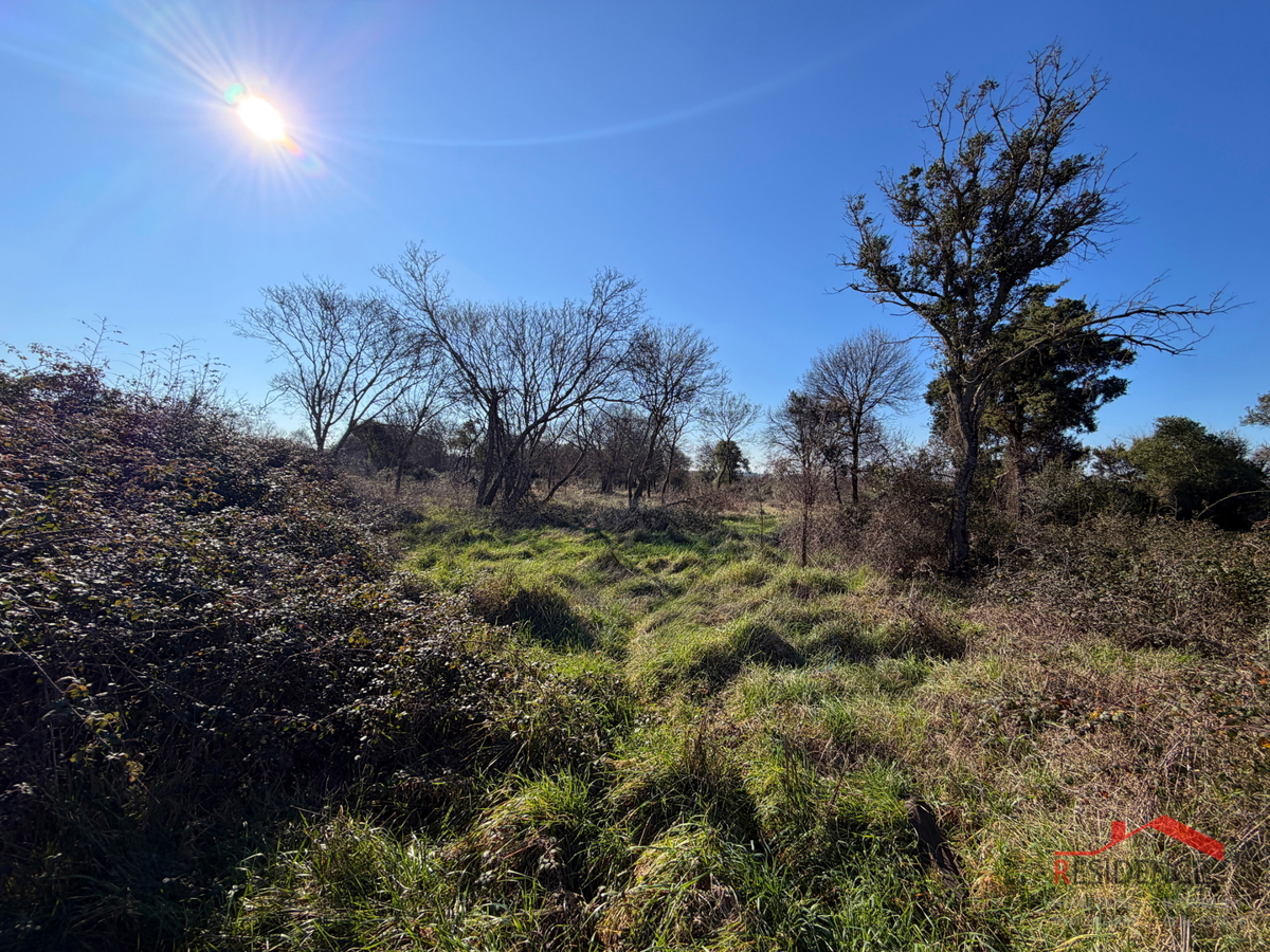 Pula, Monte Turco, zemljišče, elektrika, vodnjak