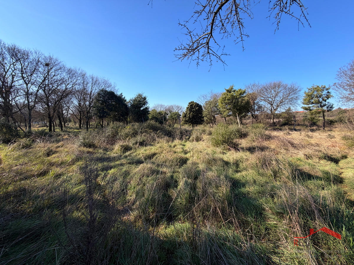 Pula, Monte Turco, zemljišče, elektrika, vodnjak