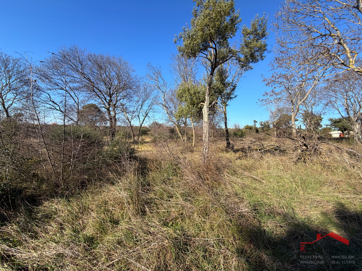 Pula, Monte Turco, zemljišče, elektrika, vodnjak