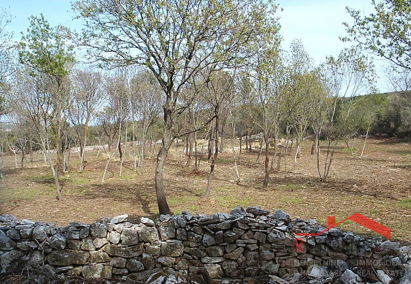 PREMANTURA - MONTE KOPE, ZAZIDLJIVO ZEMLJIŠČE V TP CONI