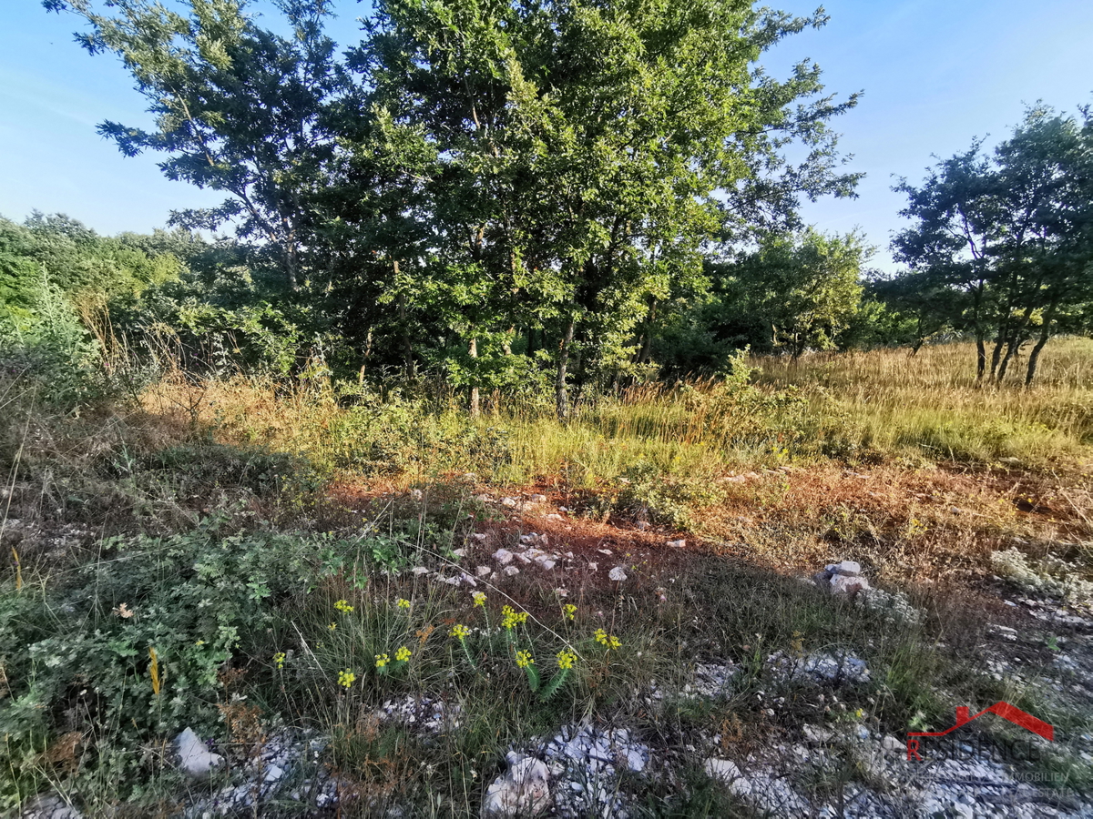 Savičenta, zazidljiva parcela
