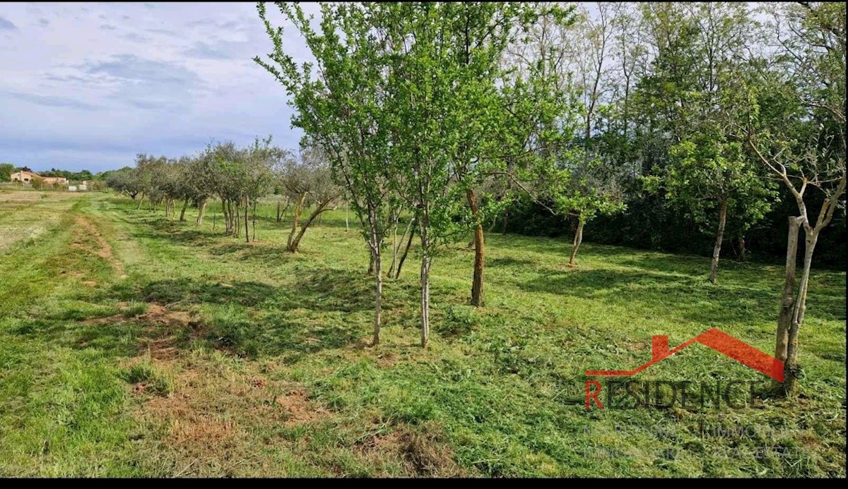 Banjole, kmetijsko zemljišče z oljčnim nasadom in vodo