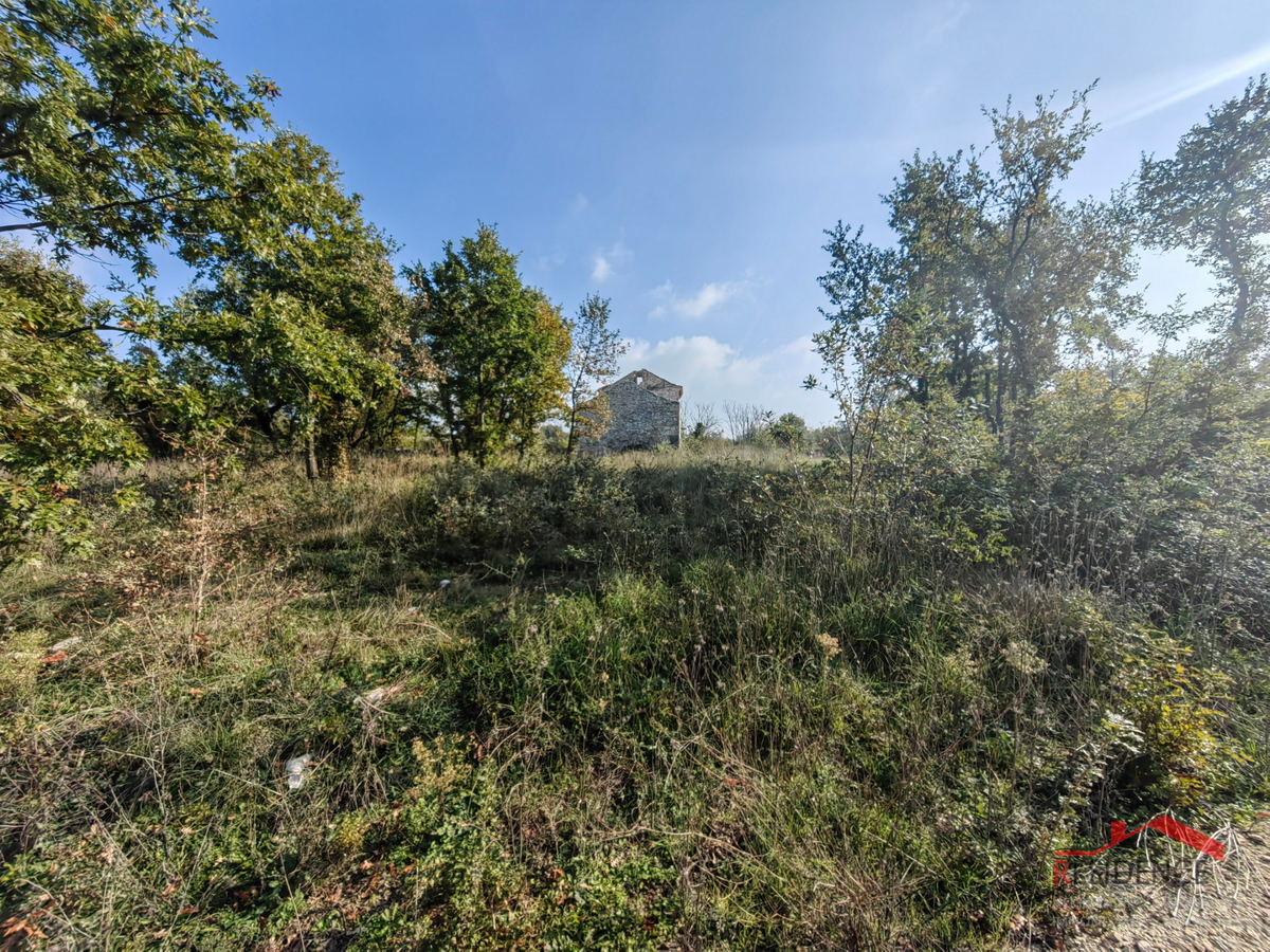 CUKRIĆI, STARA KAMNITA HIŠA ZA OBNOVO Z VELIKIM DVORIŠČEM