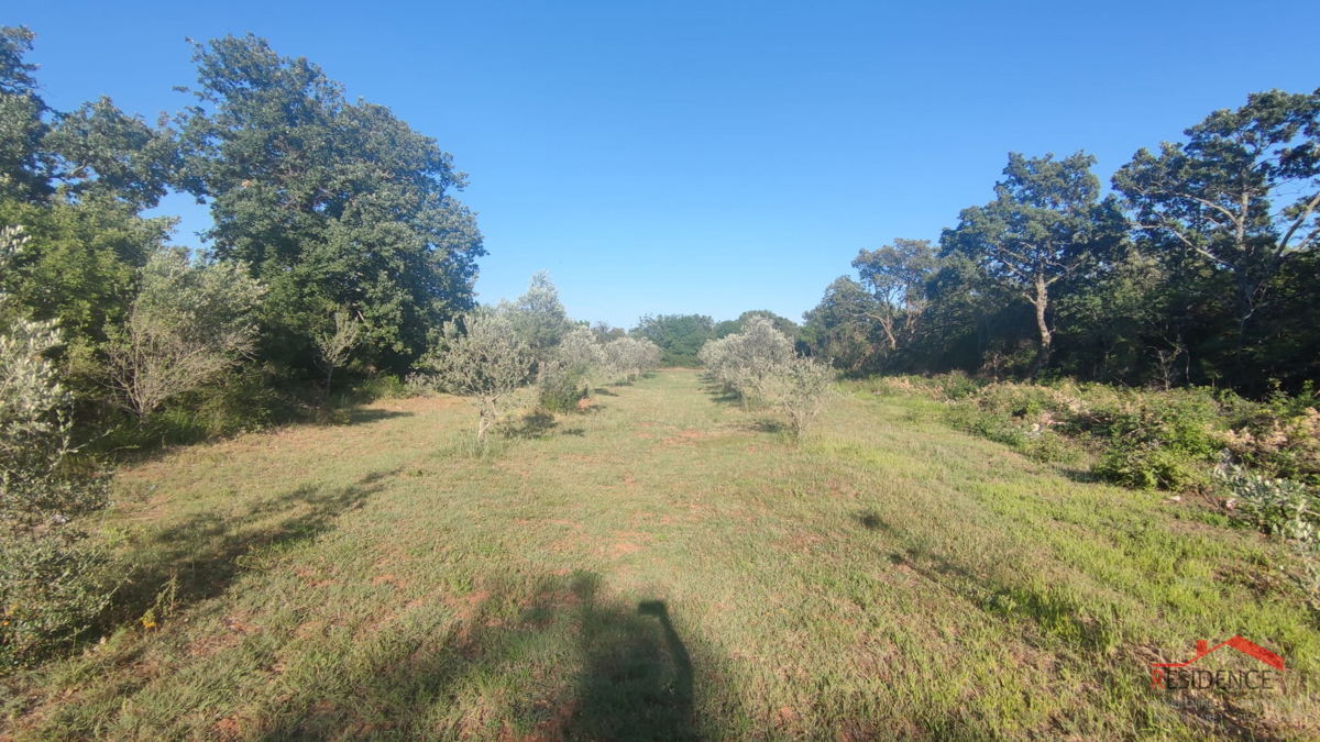 Peroj, kmetijsko zemljišče 656 m2, voda na parceli