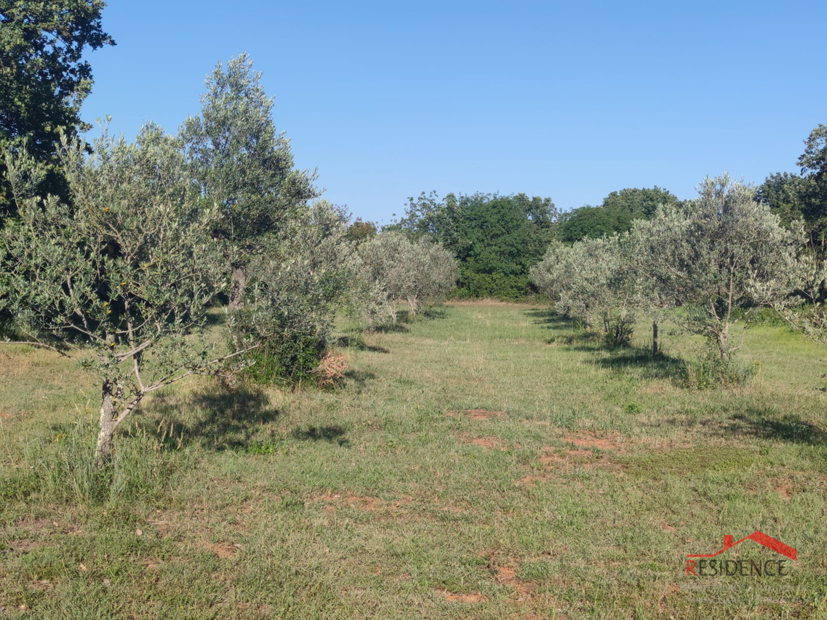 Peroj, kmetijsko zemljišče 656 m2, voda na parceli