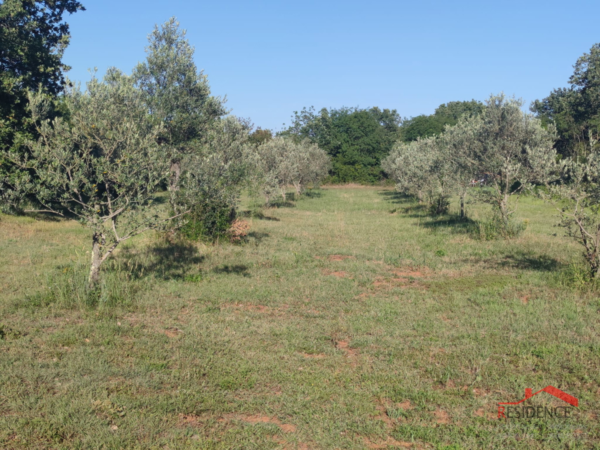 Peroj, kmetijsko zemljišče 656 m2, voda na parceli