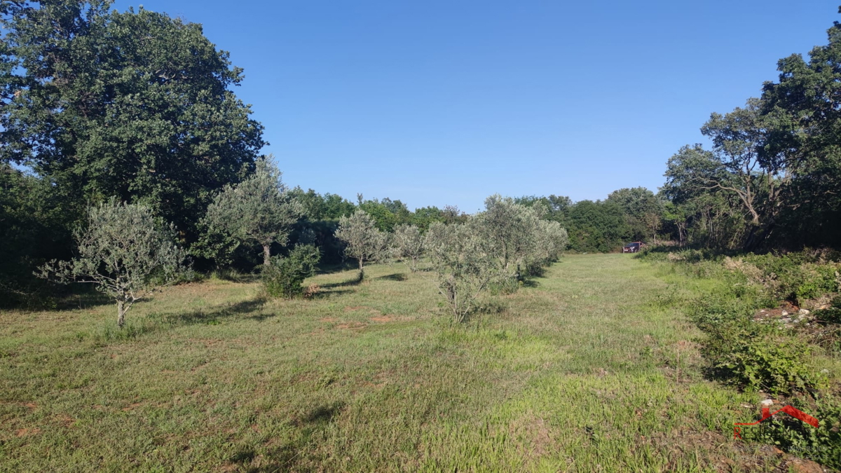 Peroj, kmetijsko zemljišče 656 m2, voda na parceli
