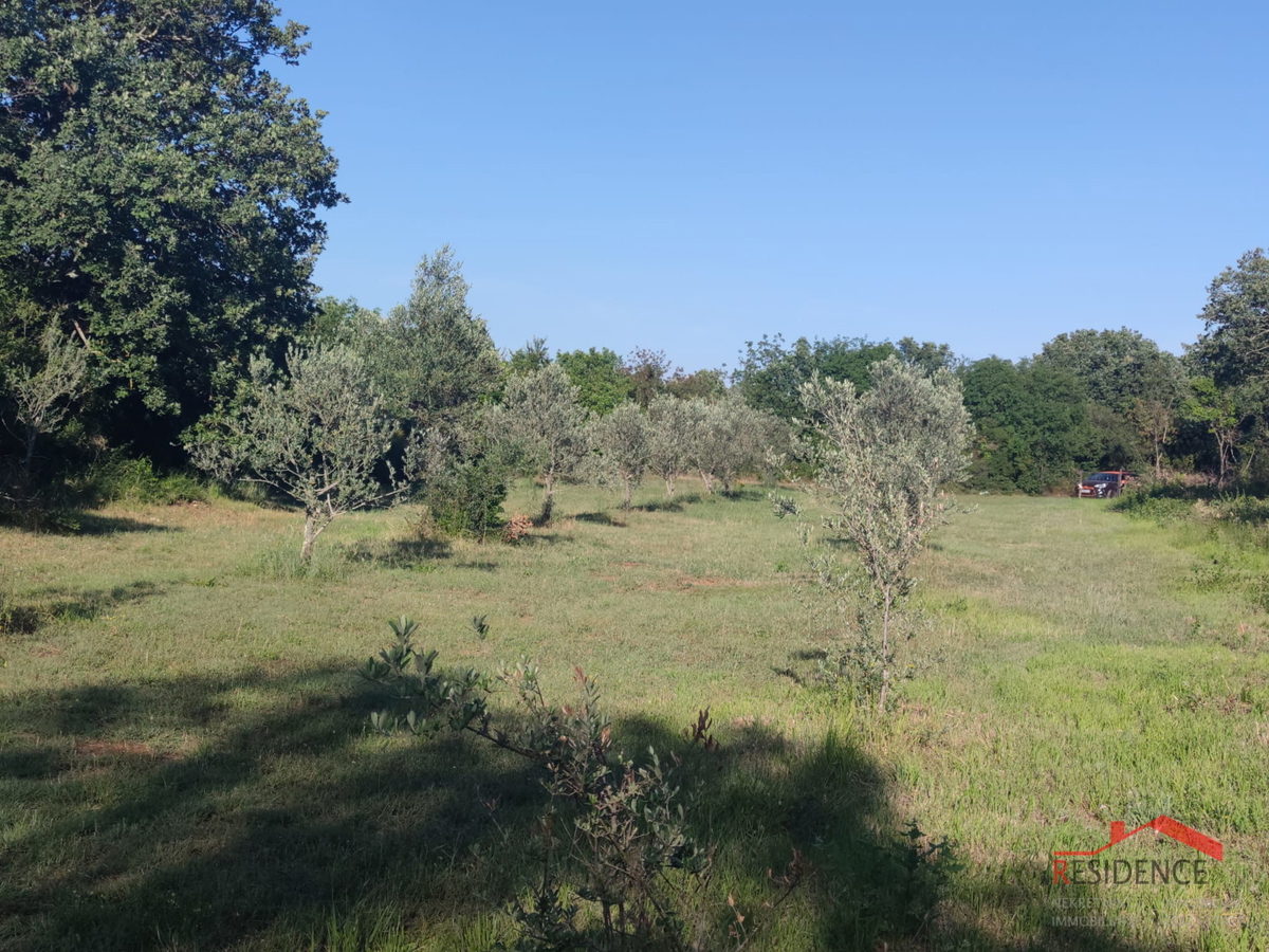 Peroj, kmetijsko zemljišče 656 m2, voda na parceli