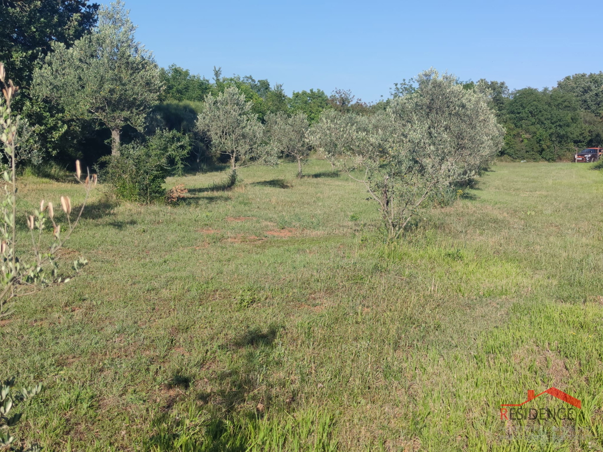 Peroj, kmetijsko zemljišče 656 m2, voda na parceli