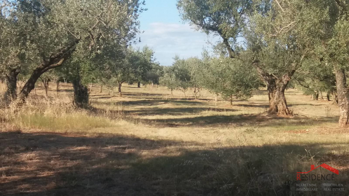 Fažana, kmetijsko zemljišče