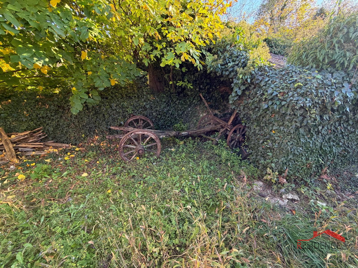 Filipana, Stara istrska hiša, vrt, garaža, konoba