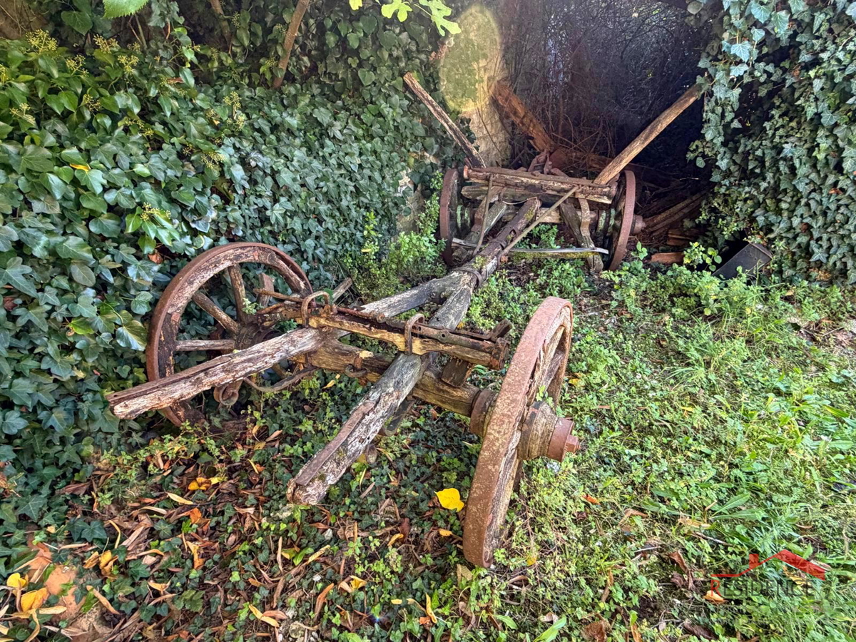 Filipana, Stara istrska hiša, vrt, garaža, konoba