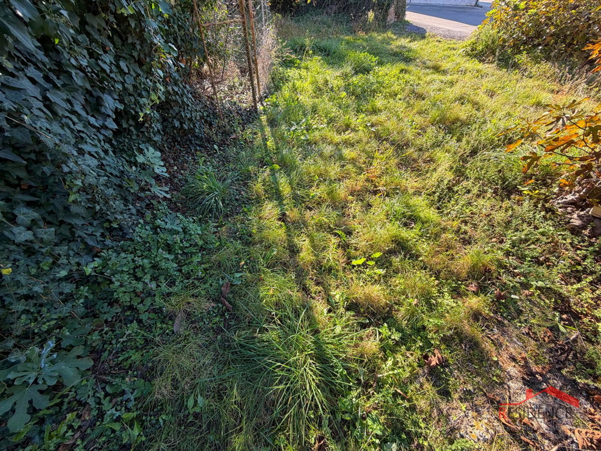 Filipana, Stara istrska hiša, vrt, garaža, konoba