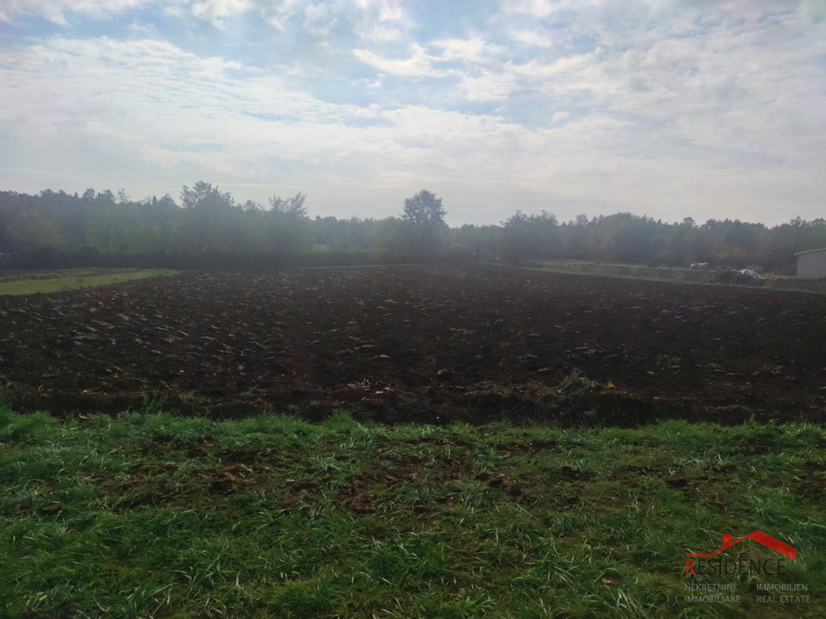 ŽMINJ- KANFANAR, BLIŽINA VASI PALADNJAKI, ZAZIDLJIVO IN KMETIJSKO ZEMLJIŠČE