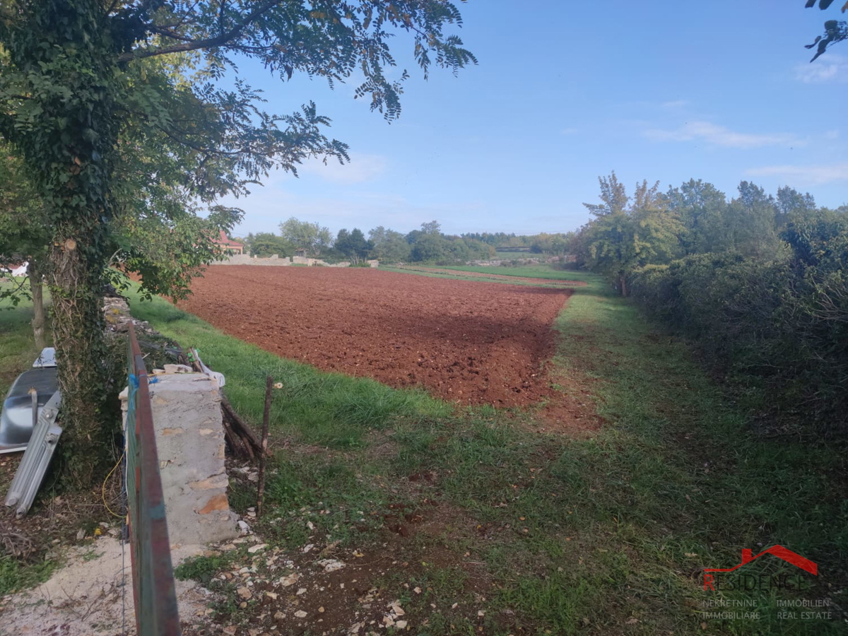 ŽMINJ- KANFANAR, BLIŽINA VASI PALADNJAKI, ZAZIDLJIVO IN KMETIJSKO ZEMLJIŠČE