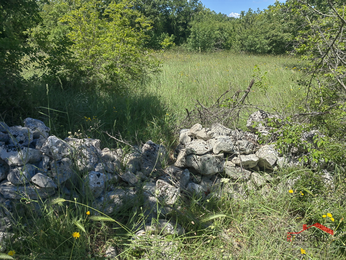 Bale-Krmed, kmetijsko zemljišče ob asfaltu