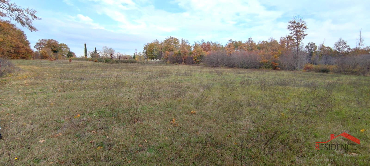 BARBAN- GRANDIĆI, KMETIJSKO ZEMLJIŠČE