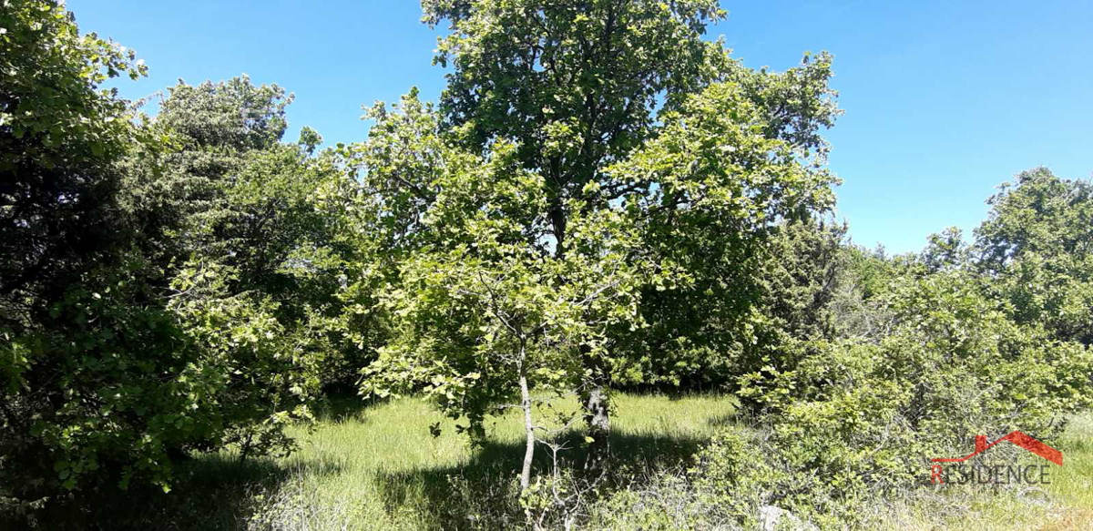 ŠTINJAN, ZAZIDLJIVO ZEMLJIŠČE