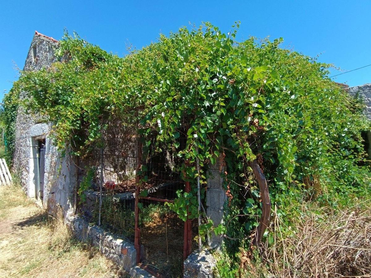 RUŠEVINA I GRAĐEVINSKO ZEMLJIŠTE - PRILIKA!