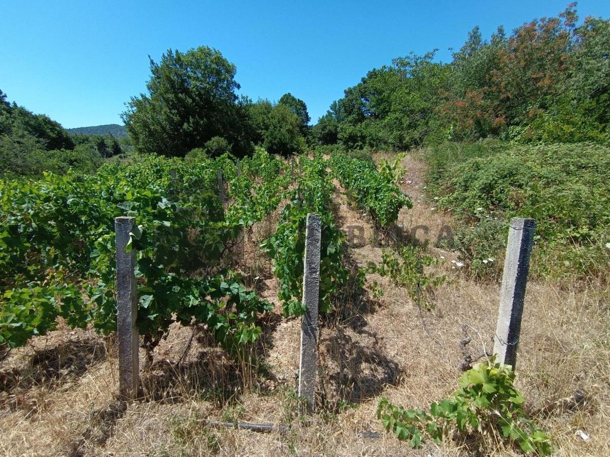 RUŠEVINA I GRAĐEVINSKO ZEMLJIŠTE - PRILIKA!