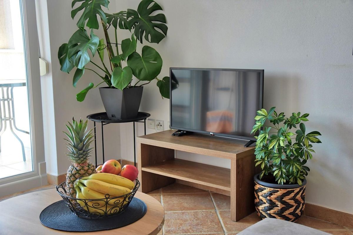 s čudovitim pogledom na morje