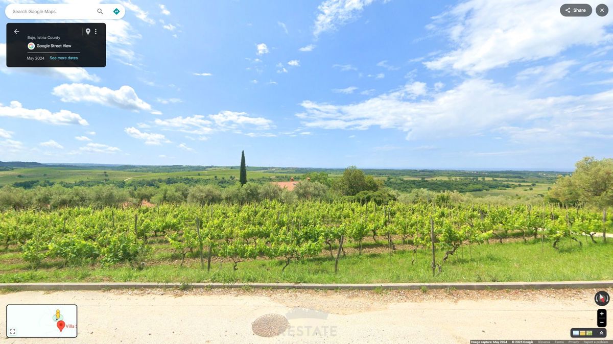 s pogledom na morje in vinograde