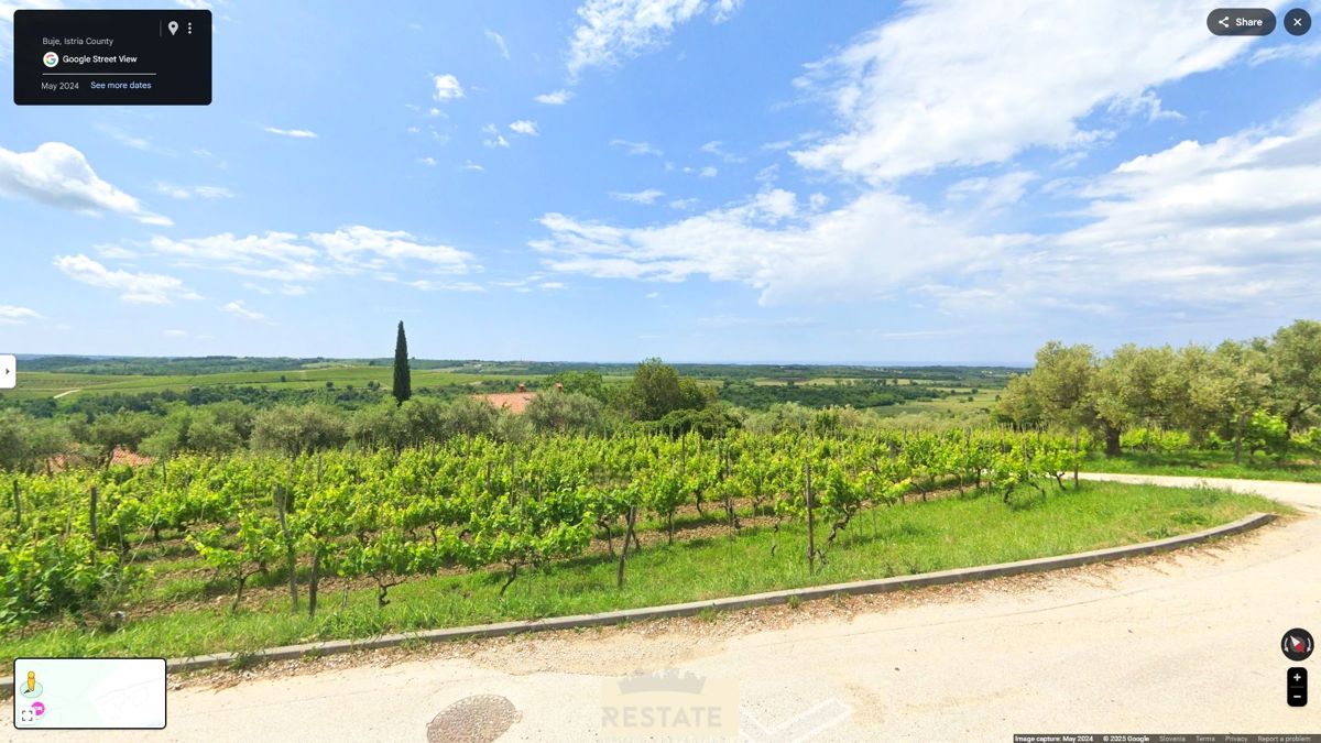 s pogledom na morje in vinograde