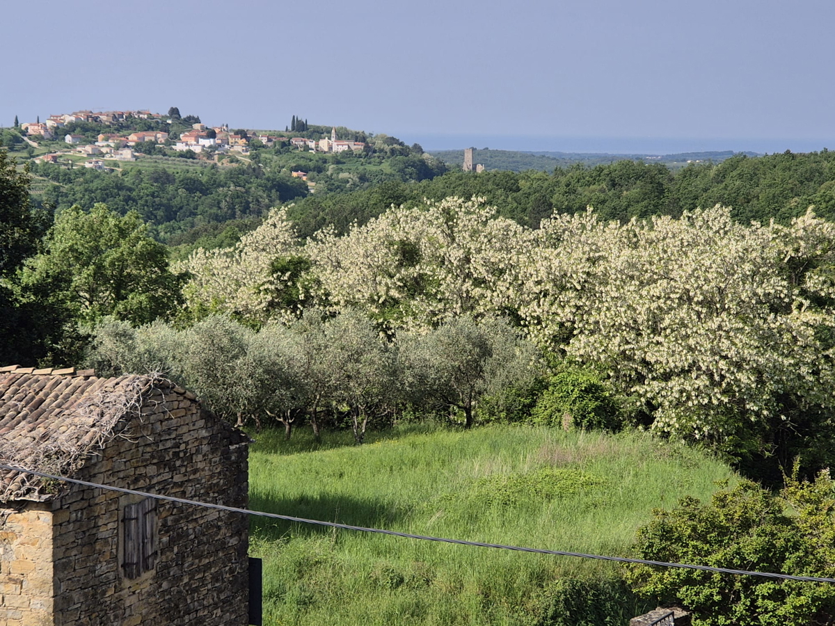 avtohtona, obnovljena istrska hiša, s pogledom na morje, v 3.etažah, papirji urejeni