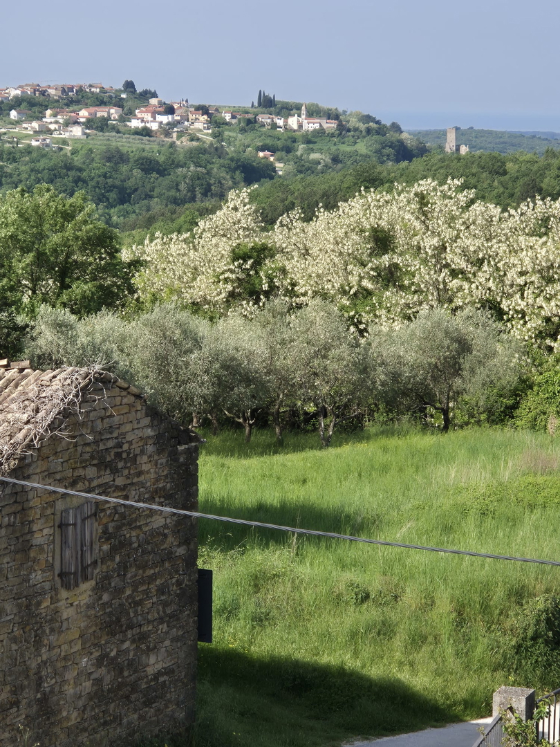 avtohtona, obnovljena istrska hiša, s pogledom na morje, v 3.etažah, papirji urejeni