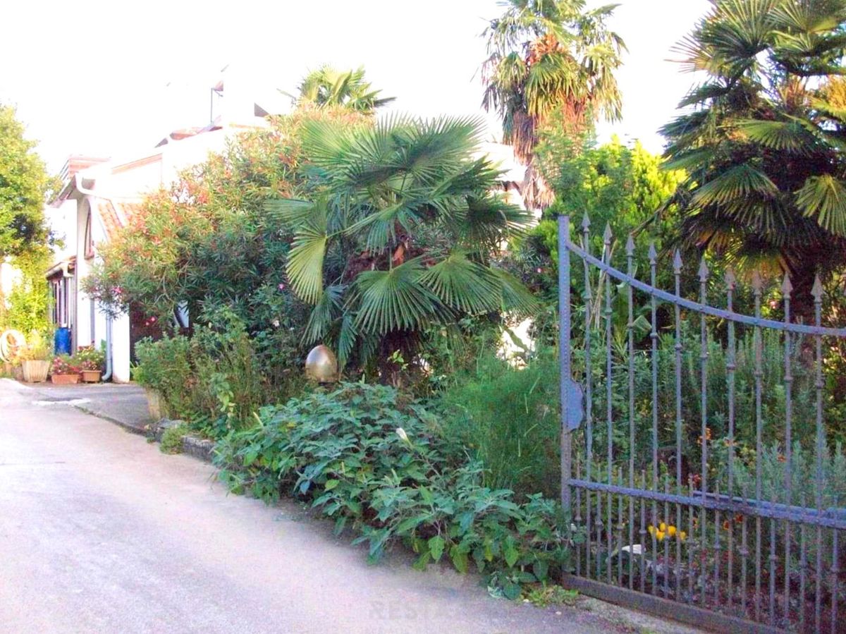 ZA INVESTICIJO: do 18 stanovanj + bazen