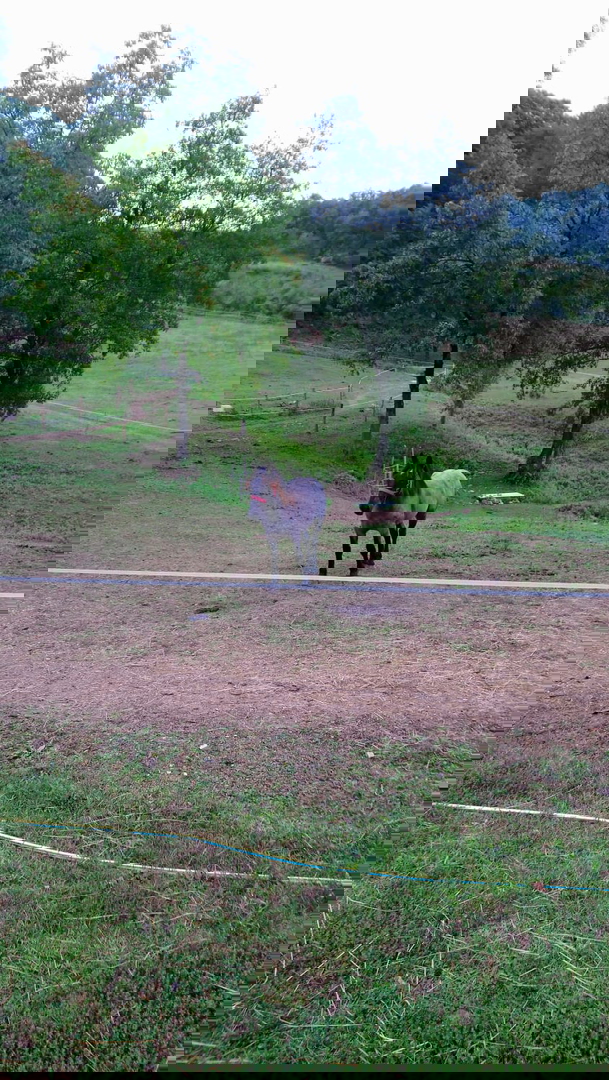 OGROMNA POSEST - ZA INVESTICIJO, TURISTIČNE NAMENE